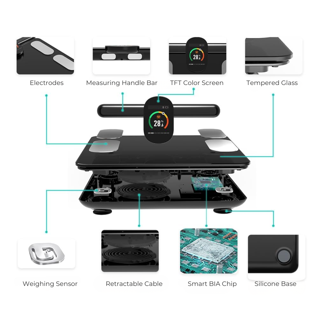 BodyMetric Smart Scale